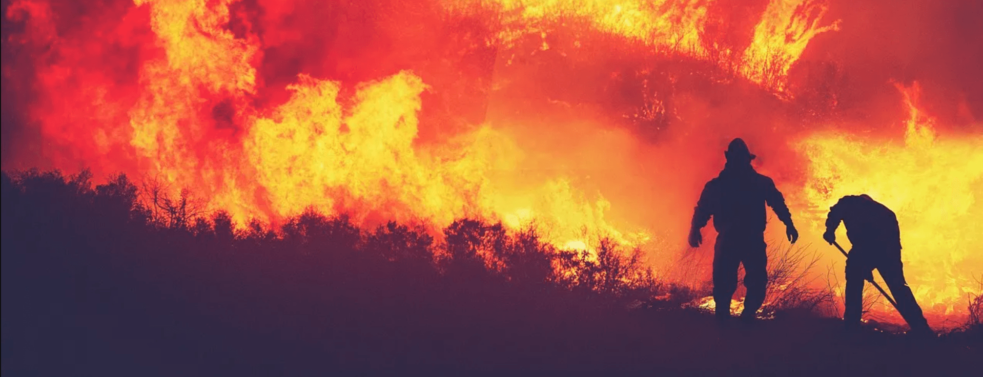 Two fire crew working a line by hand against a wall of flame in open scrub at dusk.
